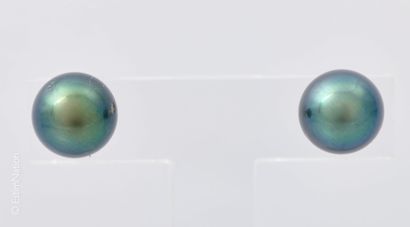 BOUCLES D'OREILLES PERLES GRISES 
Paire de...