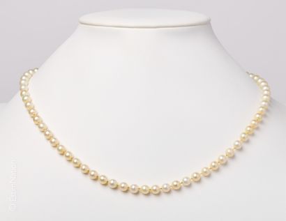 COLLIER ET BRACELET PERLES DE CULTURES BLANCHES
Ensemble...