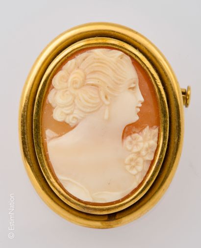 BROCHE METAL DORE ET CAMEE COQUILLAGE
Broche...