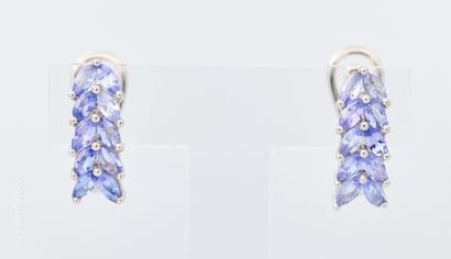 BOUCLE D'OREILLES TANZANITES TOPAZES
Paire...