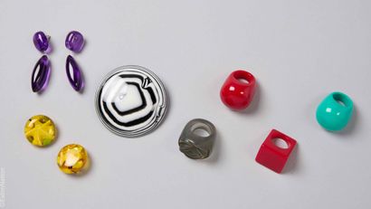 AGNES SOBRAL
SET in tinted resin: zebra brooch...
