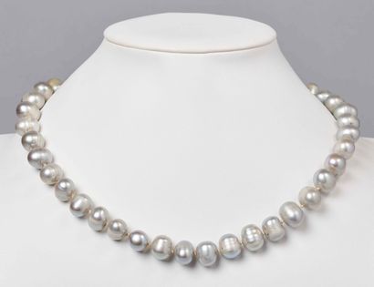 LOT DE COLLIERS DE PERLES D'EAU DOUCE ET...