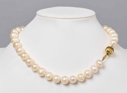 LOT DE COLLIERS DE PERLES D'EAU DOUCE ET...