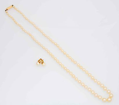 COLLIER ET BOUCLES D'OREILLES PERLES DE CULTURE
Demie...