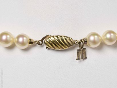SET OF FAKE PEARL NECKLACES
Set of three...