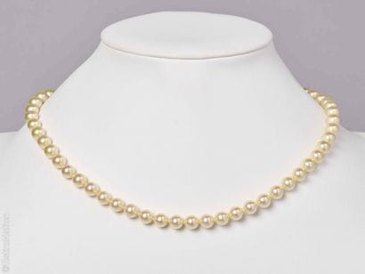 SET OF FAKE PEARL NECKLACES
Set of three...