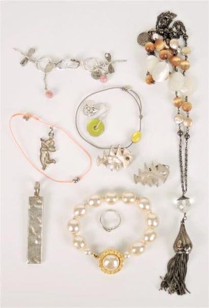 BICHE DE BERRE, KARL LAGERFELD, SKALLI, CLIO...