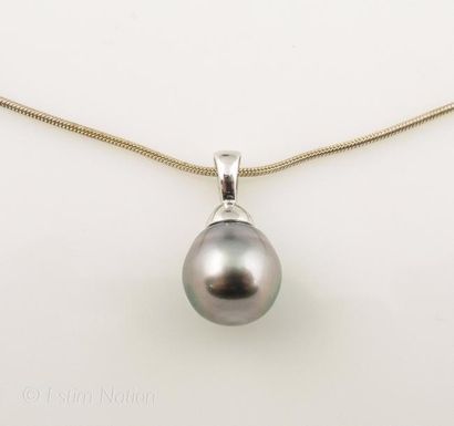 COLLIER PERLE TAHITI
Collier en argent 925/°°...