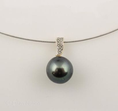 COLLIER PERLE TAHITI
Collier câble ras de...