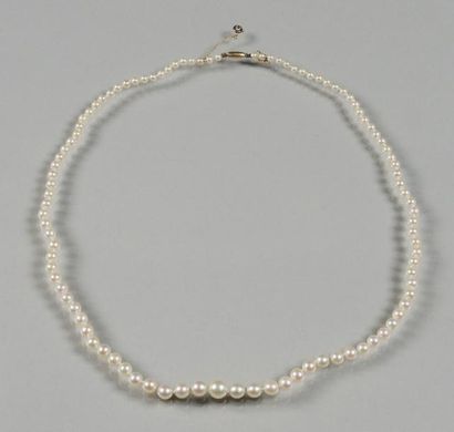 COLLIER DE PERLES DE CUTURE EN CHUTE
Collier...