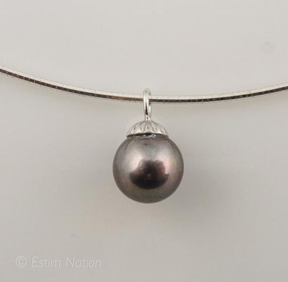 COLLIER PERLE TAHITI
Collier tour de cou...