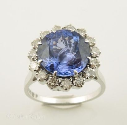 BAGUE TANZANITE
Bague marguerite en or gris...