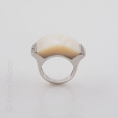 BAGUE NACRE OXYDE DE ZIRCONIUM
Importante...