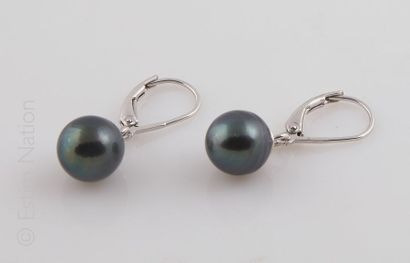 BOUCLES D'OREILLES PERLE TAHITI
Paire de...