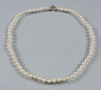 COLLIER PERLES
Collier composé de perles...