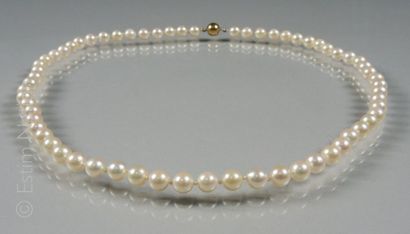 COLLIER PERLES
Collier composé de perles...