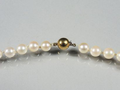 COLLIER PERLES
Collier composé de perles...