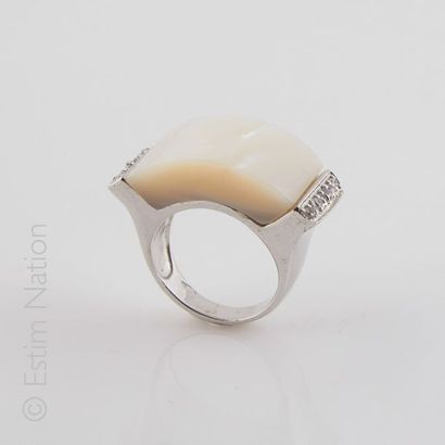 BAGUE NACRE OXYDE DE ZIRCONIUM
Importante...