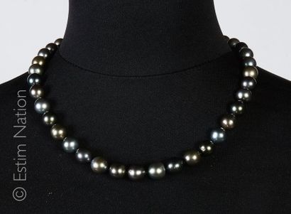 Collier Perles de Tahiti
Collier composé...
