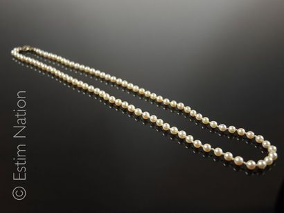 Collier de perles de culture
Collier composé...