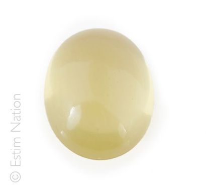 Citrine en cabochon ovale. 


Dimensions:...