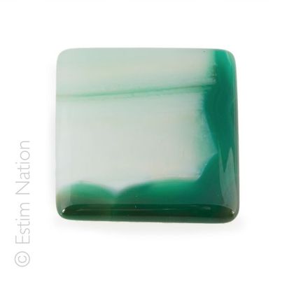 AGATE ARBORISEE
Agate arborisée en cabochon...