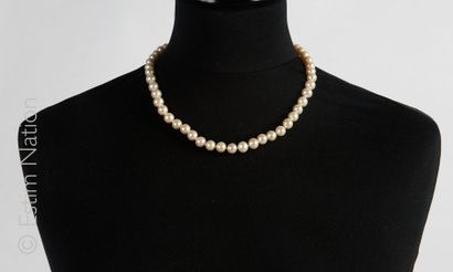 COLLIER PERLES
Collier composé de perles...