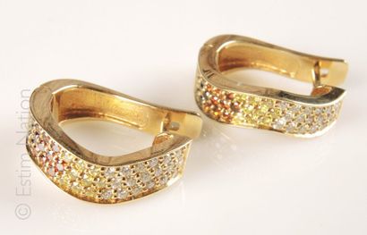 PAIRE DE BOUCLES D'OREILLES DIAMANTS DE COULEURS
Paire...