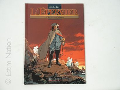 PELLERIN


L'épervier. Tempête sur Brest....