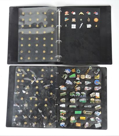 Collection de pin's présenté dans deux classeurs...