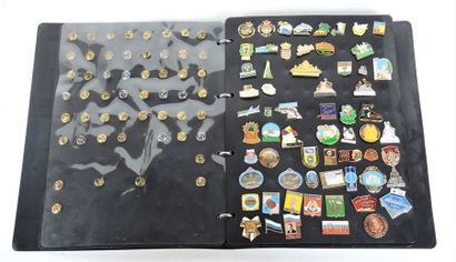 Collection de pin's présenté dans un classeur...
