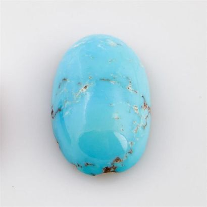 Cabochon de turquoise ovale pesant 8.95 ...