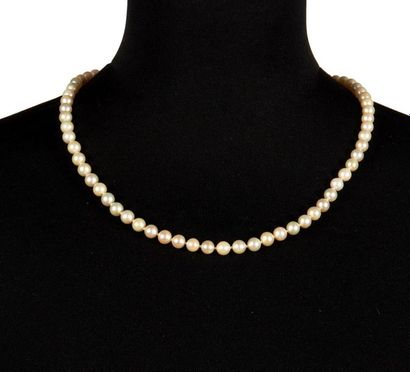 Collier de perles
Collier choker de perles...