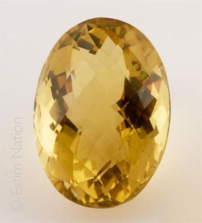 Citrine ovale facettée 
Poids brut: 13.75g
Dimensions...