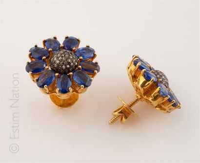 BOUCLES D'OREILLES IOLITES DIAMANTS 
Paire...