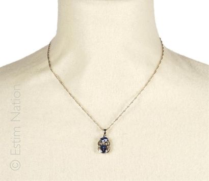 COLLIER TANZANITES
Collier en argent (925/°°)...