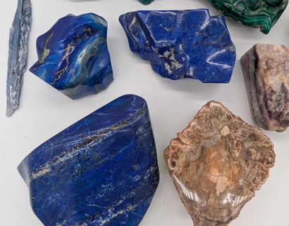 A collection of minerals and rocks, including...