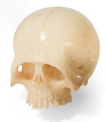 Memento mori en ivoire sculpté et patiné.
France,...