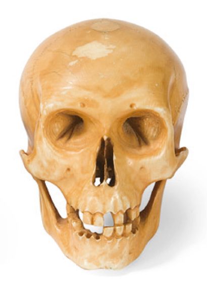 Memento mori en ivoire sculpté et patiné.
France...