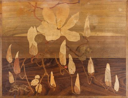 Émile GALLÉ (1846-1904)
Suite of four nesting...