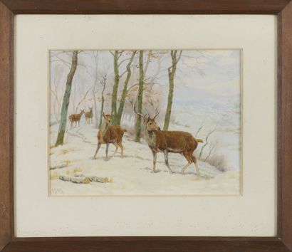 Georges-Frédéric ROTIG (1873-1961)
Cerf et...