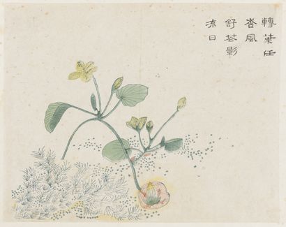 JAPON - Epoque MEIJI (1868-1912)
Jurojin...