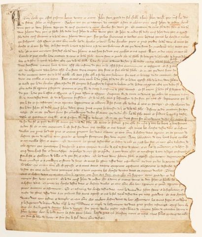 SAINTONGE. 1333. SAINT-JEAN D'ANGÉLY (17)....