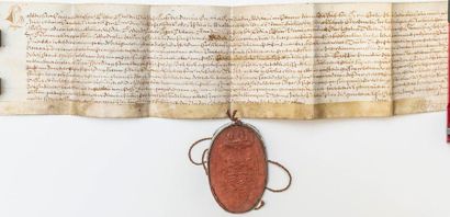 BAPAL BUBBLE in Latin, with a large oval...