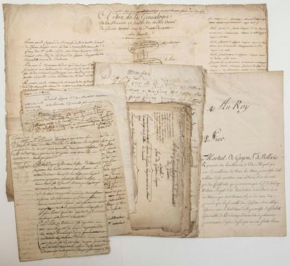 GUYENNE. GUYON DE BELLEVUE. GENEALOGY - File...