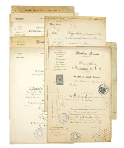 FORÊTS. INDRE-ET-LOIRE: 34 Documents sur...