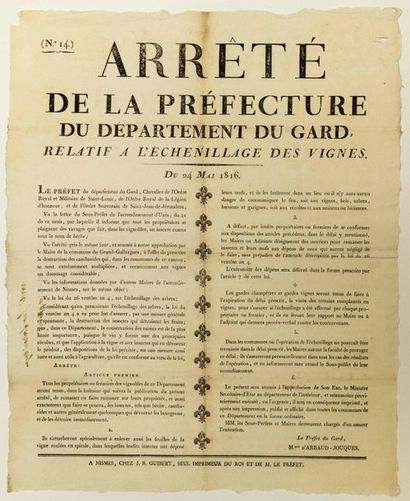 GARD. VITICULTURE. 