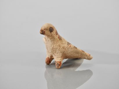 Oiseau, une colombe symbolisant l’âme.Terre...