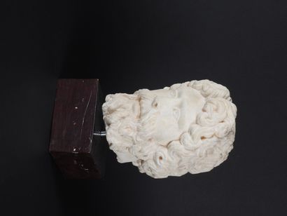 Tête probablement d’Hercule dans la tradition...
