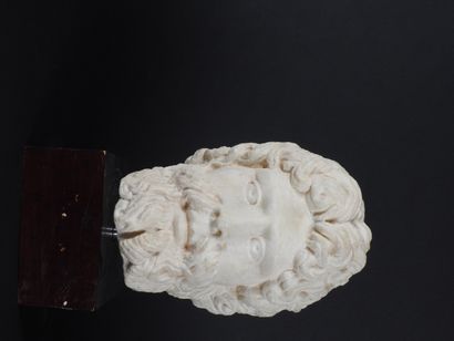 Tête probablement d’Hercule dans la tradition...